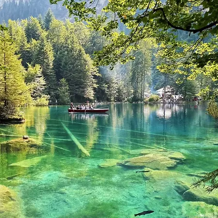 Appartement Deine Auszeit Mit Alpen- Und Kanderblick Kandergrund